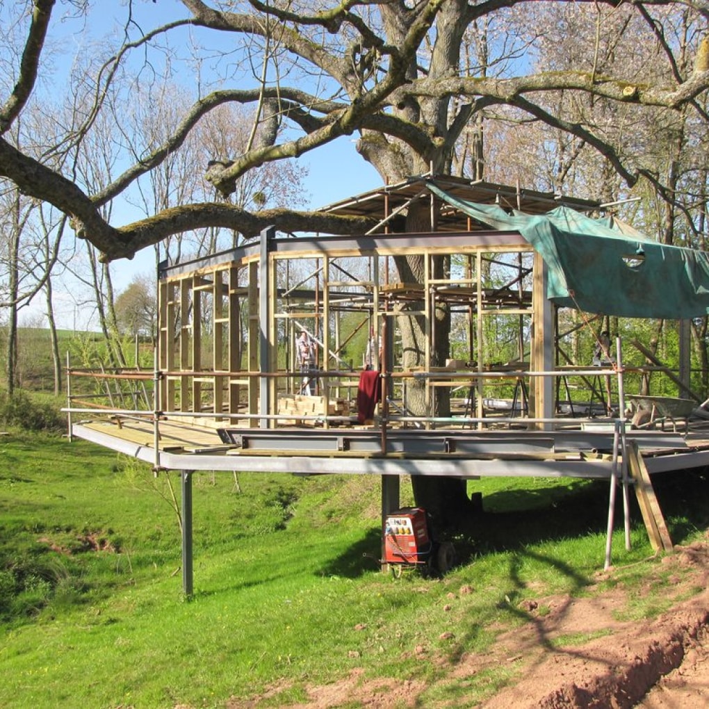 A tree on a bank with a wood frame being built around the trunk