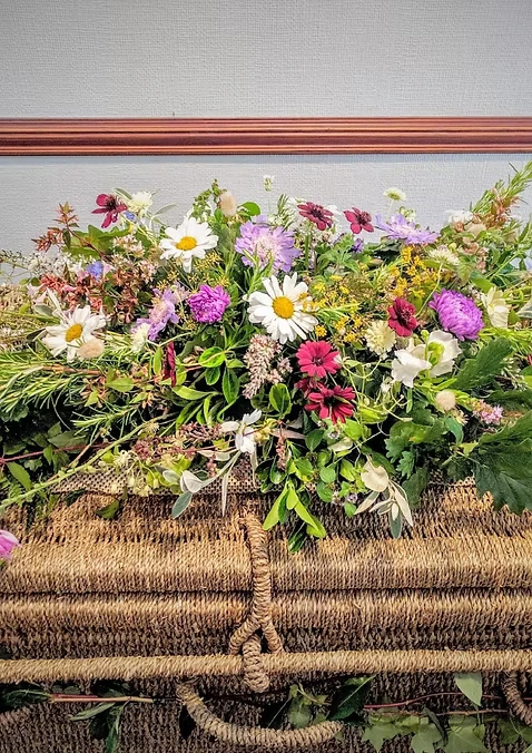 Camomile Cornflowers